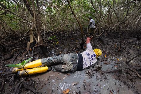 cleaning mud Ecuador|Ecuador's crabbers and the muddy work of .